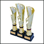 Three award trophies