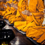 A line of Buddhist monks in orange robes, sitting in prayer position.