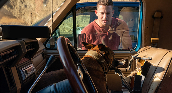 Channing Tatum as Briggs and one of the three Belgian Malinois dogs playing Lulu