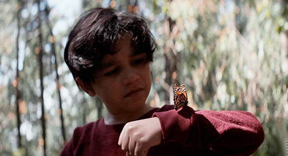 Kaarlo Isaacs as young Mendel in the butterfly forests of Mexico