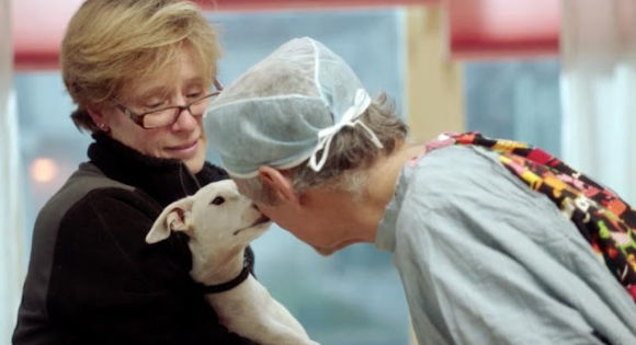 Martin Goldstein with a little white dog patient and her owner in The Dog Doc