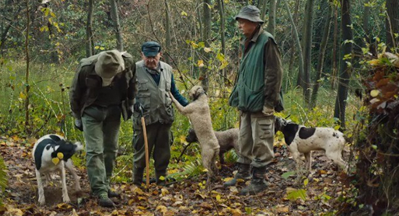 Truffle hunters and their dogs