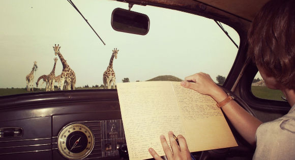 Anne Innis Dagg taking notes in a car while watching giraffes.