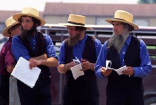 Amish men at a sale