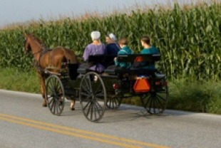 3 generations of Amish in an open horse-drawn carriage