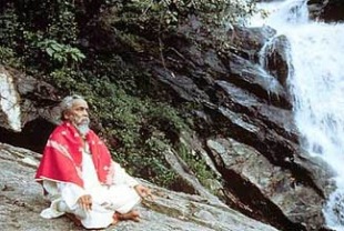 Brahmananad Swamigal