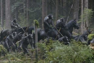 Scene from Dawn of the Planet of the Apes