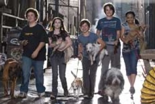 Troy Gentile as Mark, Emma Roberts as Andi, Jake T. Austin as Bruce, Johnny Simmons as Dave and Kyla Pratt as Heather