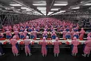 Edward Burtynsky's Photograph of Deda Chicken Processing Plant, Dehui City, Jilin ProvinceTitle