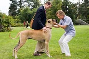 Owen Wilson as Marmaduke, Lee Pace as Phil, and William H. Macy as Don