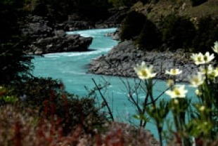 A river in Patagonia