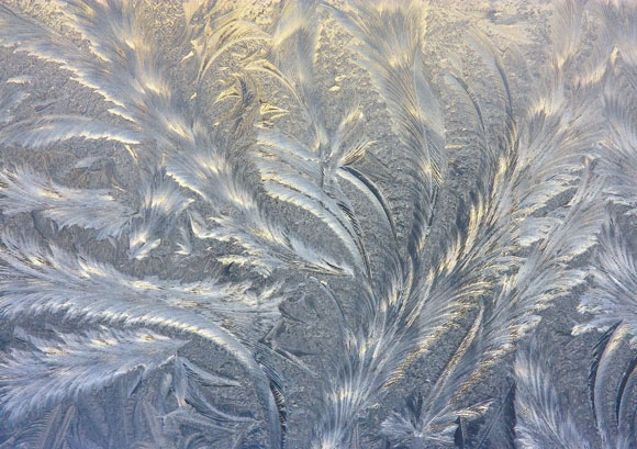 frost