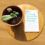 A stool bathed in light with a plant and a to-do list on it.