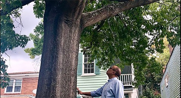 Jeffrey Robinson at the lynching tree in Charleston.