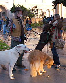Dogwalker God