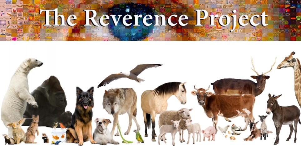 Films with Respect and Awe for Animals | Film Feature | Spirituality &  Practice