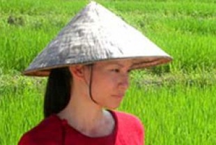Lucy Liu as Jin Ping