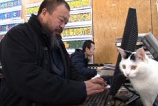 Ai Weiwei