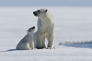 Nanu and Mom
