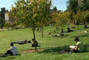 A scene from At Berkeley