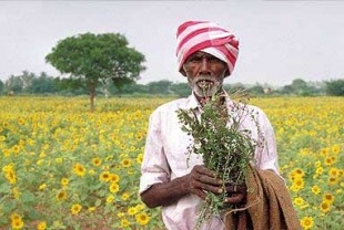 Vaidya Nrayan Murthy