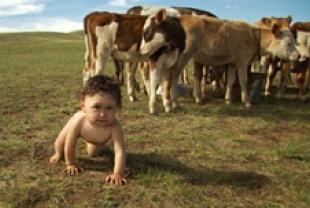 Bayarjargal, Mongolia