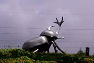 Beetle Queen Conquers Tokyo