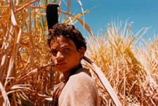 Ravi Ramos Lacerda as Pacu