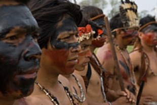 The Guarani-Kaiowà, an indigenous people of Brazil