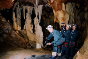 Werner Herzog in CAVE OF FORGOTTEN DREAMS