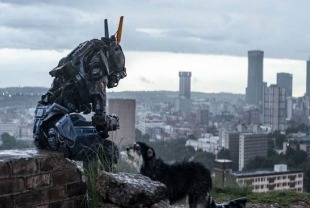 A scene from Chappie