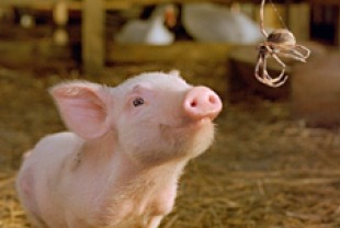 Wilbur and Charlotte
