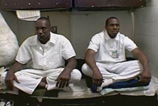 The Dhamma Brothers