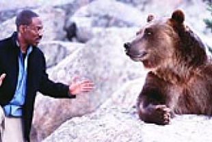 Dr. Dolittle 2
