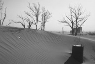 The fine dirt lifted by the dust storms and blown by the winds scraped some fields to hardpan and created dunes wherever there were eddies in the wind. Oklahoma Panhandle, 1936. Credits: Arthur Rothstein