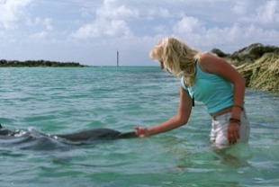 Eye of the Dolphin