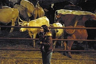 At the Feed Lots