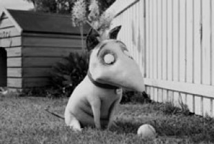 Sparky