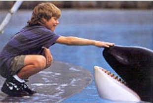 Free Willy