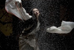 Memoirs of a Geisha