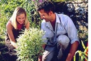 Greenfingers