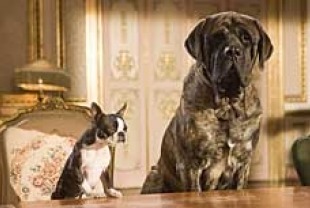 Waiting for Dinner