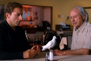 Steve Carrell as Burt and Alan Arkin as Rance