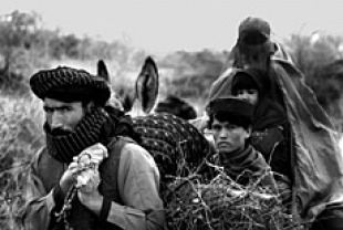 Kandahar