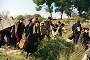 Kedma
