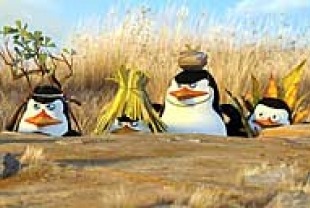 The Penguins