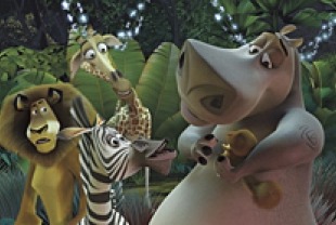 Out of Place on Madagascar