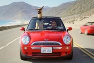 Owen Wilson as Marmaduke and Lee Pace as Phil