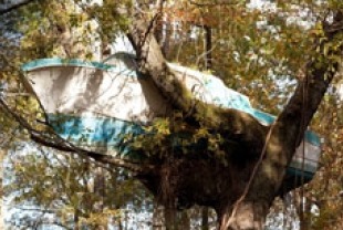 Boat in the tree