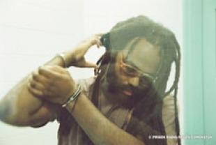 Mumia